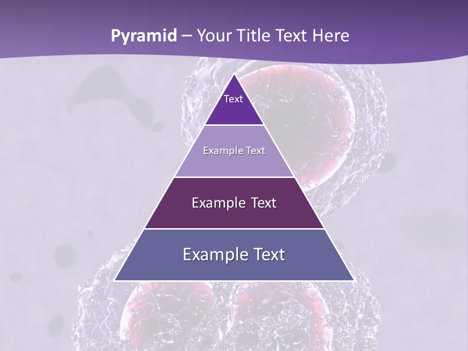 Mrsa Bacteria PowerPoint Template