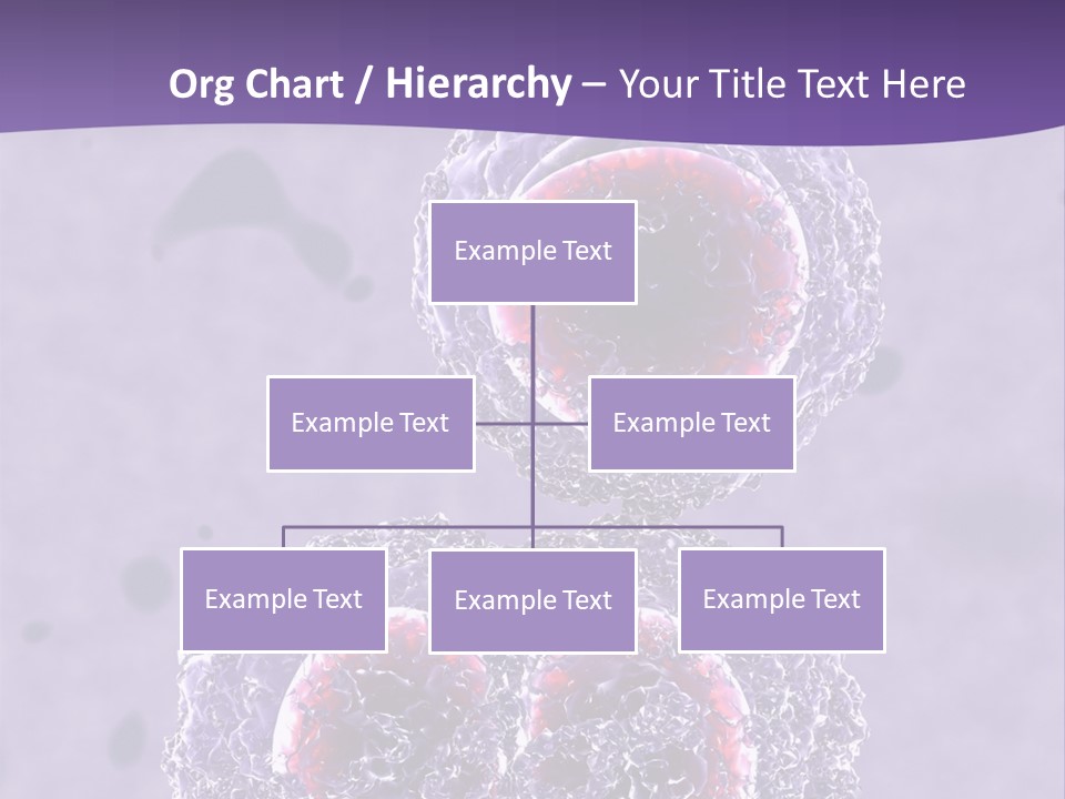 Mrsa Bacteria PowerPoint Template