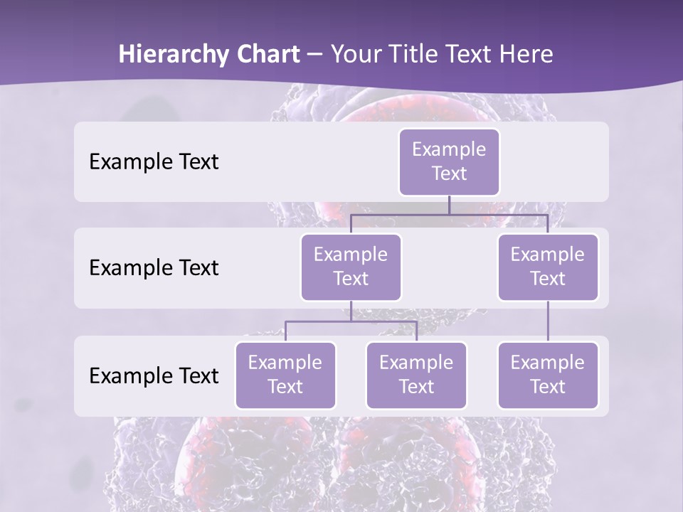 Mrsa Bacteria PowerPoint Template