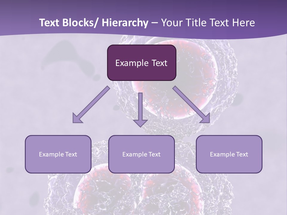 Mrsa Bacteria PowerPoint Template