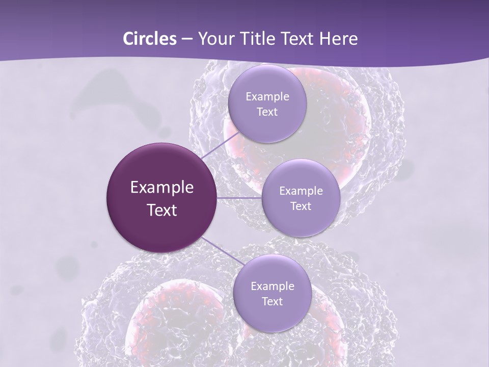 Mrsa Bacteria PowerPoint Template