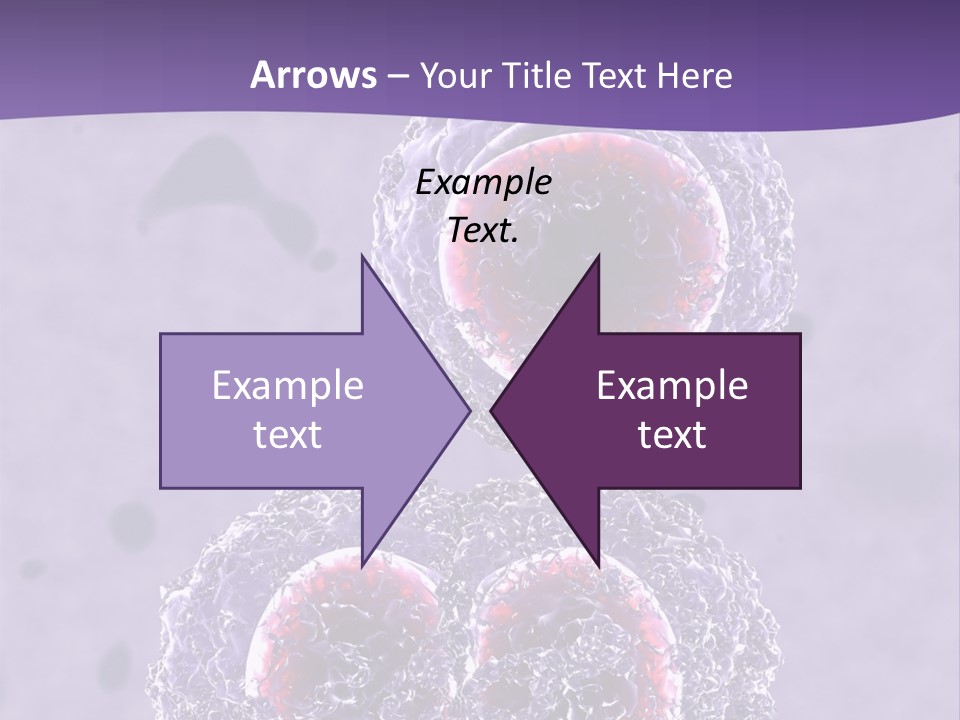 Mrsa Bacteria PowerPoint Template