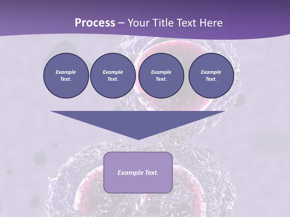 Mrsa Bacteria PowerPoint Template