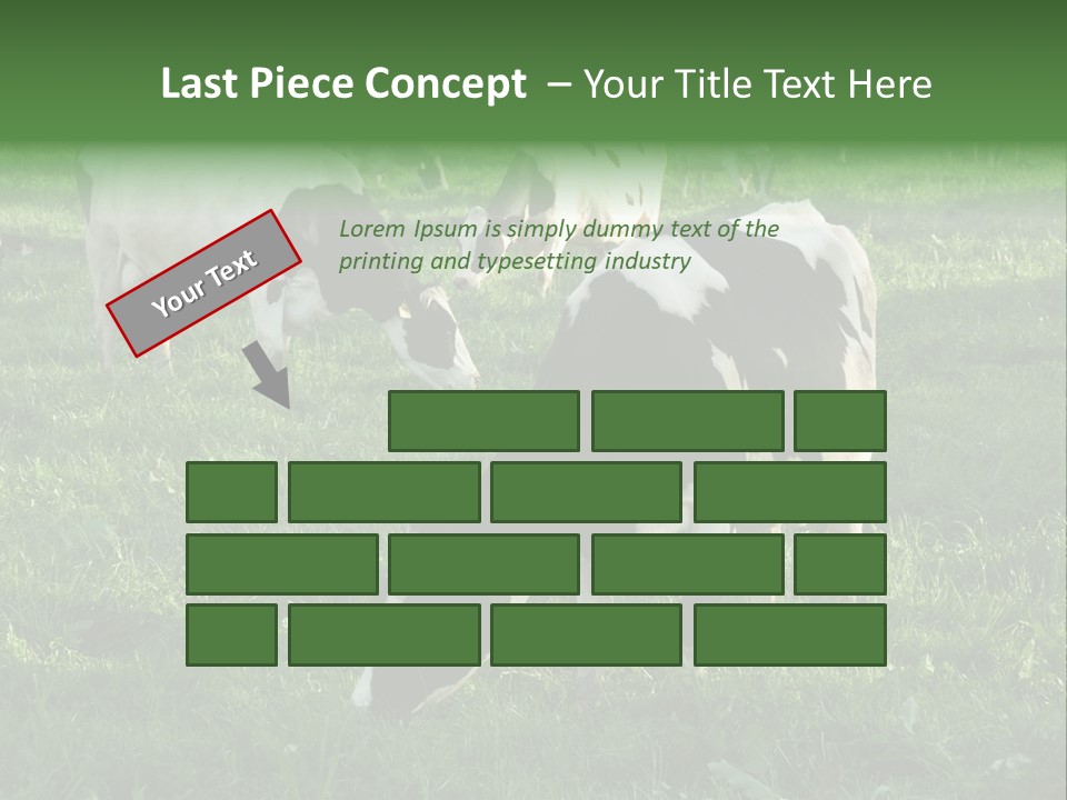 Holstein-Friesian Cows Grazing In A Lush, Green Field, Near Moss Vale, New South Wales, Australia PowerPoint Template