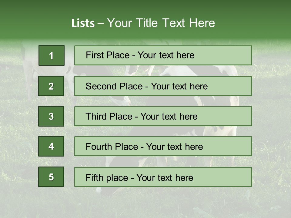Holstein-Friesian Cows Grazing In A Lush, Green Field, Near Moss Vale, New South Wales, Australia PowerPoint Template