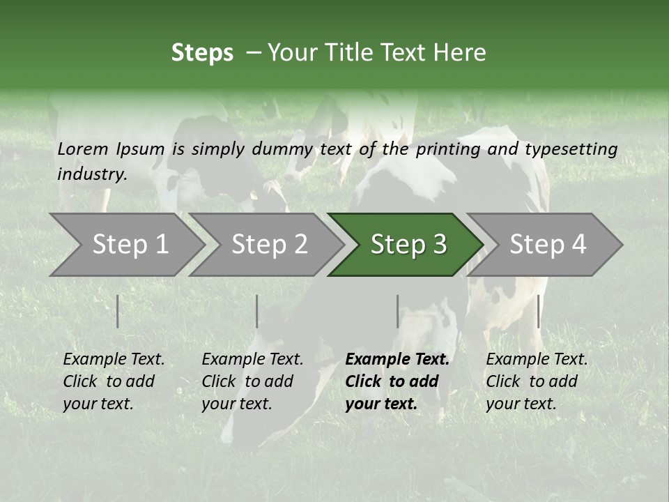 Holstein-Friesian Cows Grazing In A Lush, Green Field, Near Moss Vale, New South Wales, Australia PowerPoint Template