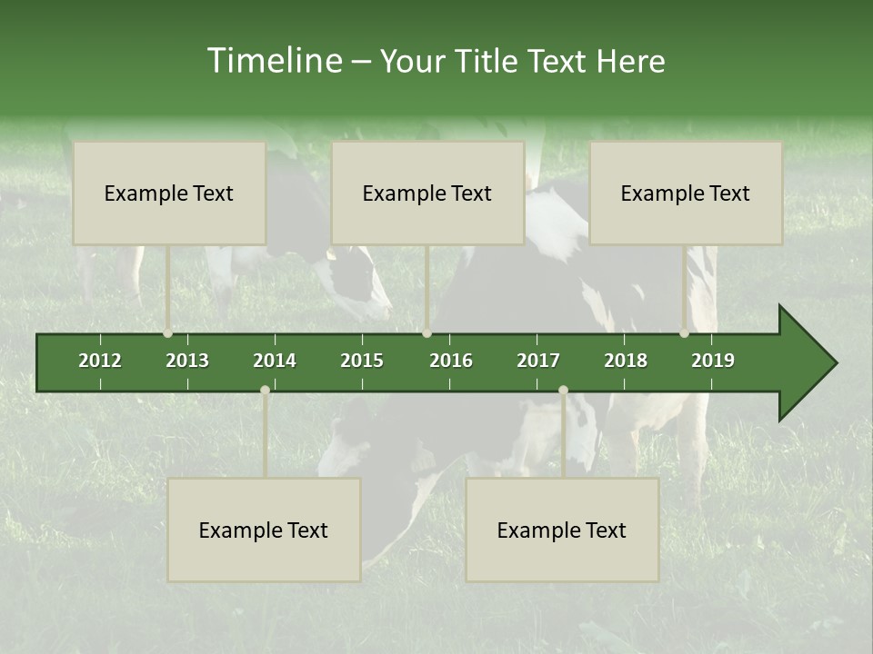 Holstein-Friesian Cows Grazing In A Lush, Green Field, Near Moss Vale, New South Wales, Australia PowerPoint Template