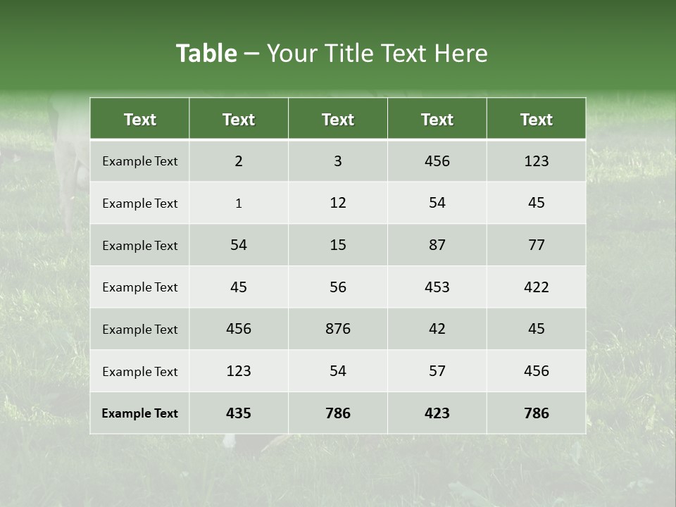 Holstein-Friesian Cows Grazing In A Lush, Green Field, Near Moss Vale, New South Wales, Australia PowerPoint Template