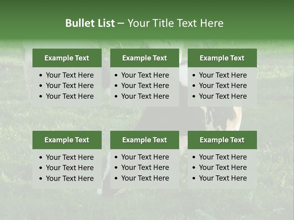 Holstein-Friesian Cows Grazing In A Lush, Green Field, Near Moss Vale, New South Wales, Australia PowerPoint Template
