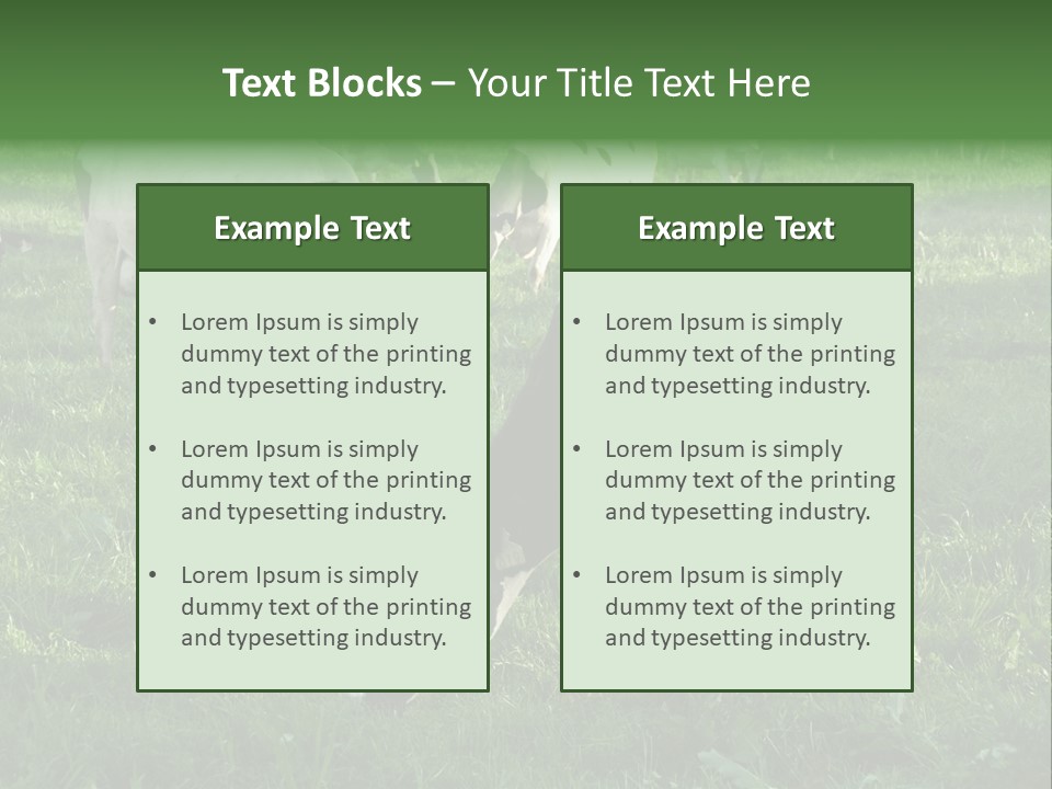 Holstein-Friesian Cows Grazing In A Lush, Green Field, Near Moss Vale, New South Wales, Australia PowerPoint Template