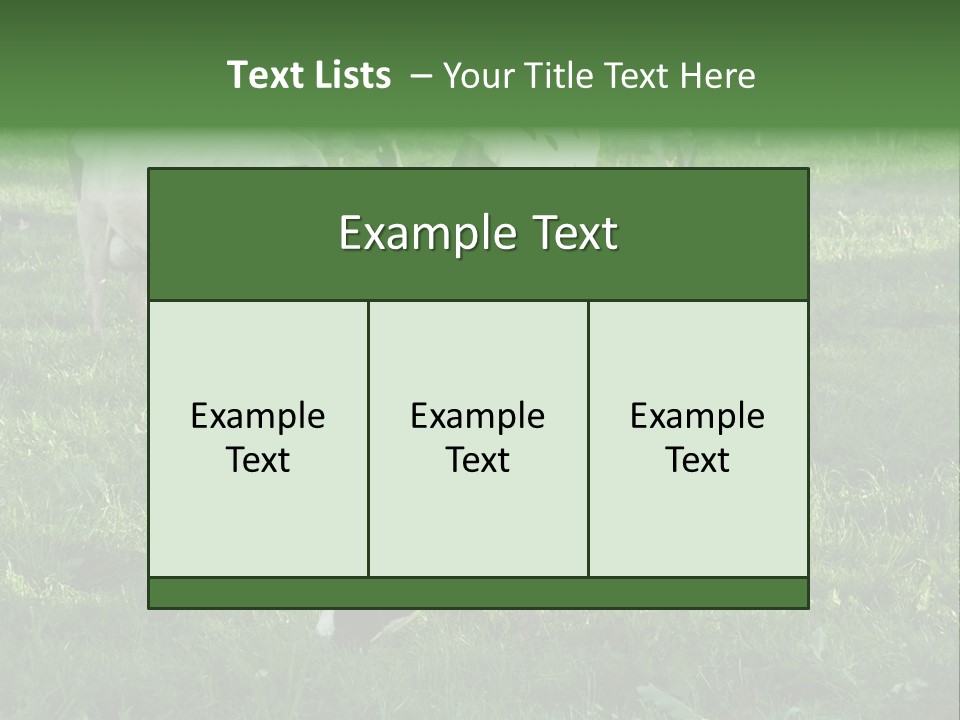 Holstein-Friesian Cows Grazing In A Lush, Green Field, Near Moss Vale, New South Wales, Australia PowerPoint Template