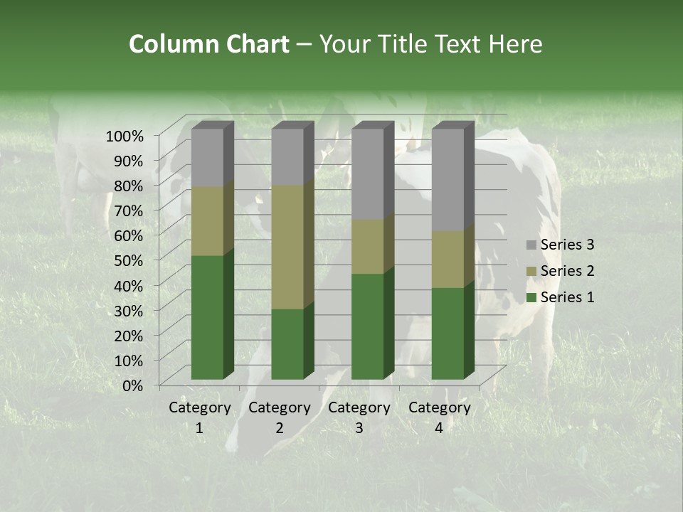Holstein-Friesian Cows Grazing In A Lush, Green Field, Near Moss Vale, New South Wales, Australia PowerPoint Template
