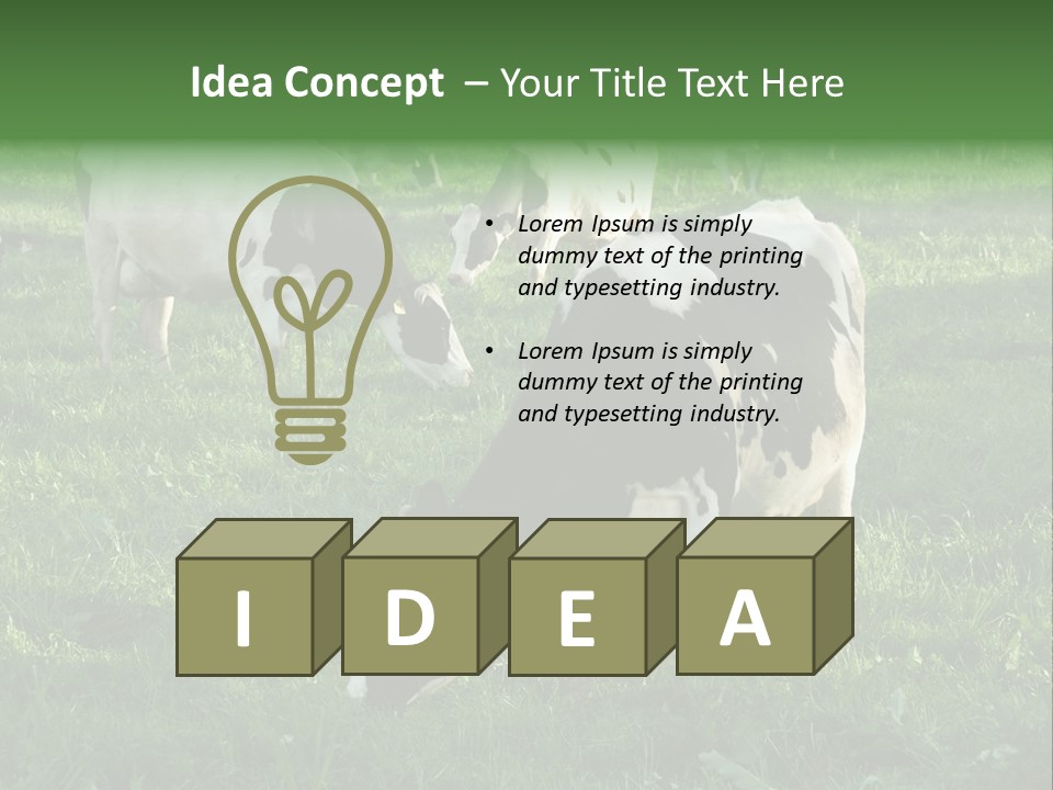 Holstein-Friesian Cows Grazing In A Lush, Green Field, Near Moss Vale, New South Wales, Australia PowerPoint Template