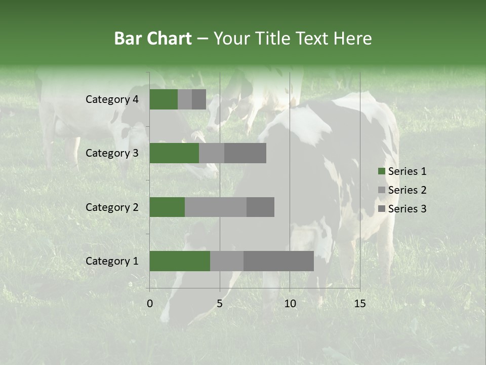 Holstein-Friesian Cows Grazing In A Lush, Green Field, Near Moss Vale, New South Wales, Australia PowerPoint Template
