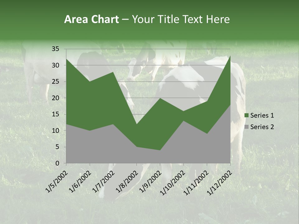 Holstein-Friesian Cows Grazing In A Lush, Green Field, Near Moss Vale, New South Wales, Australia PowerPoint Template
