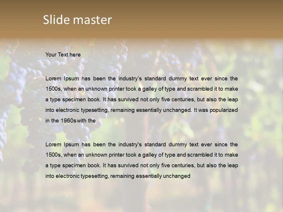 Merlot Grapes On Vine In Vineyard Hdr PowerPoint Template