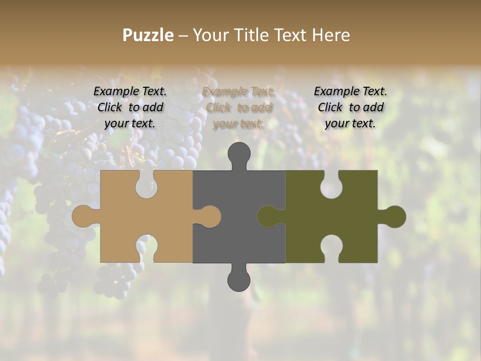 Merlot Grapes On Vine In Vineyard Hdr PowerPoint Template