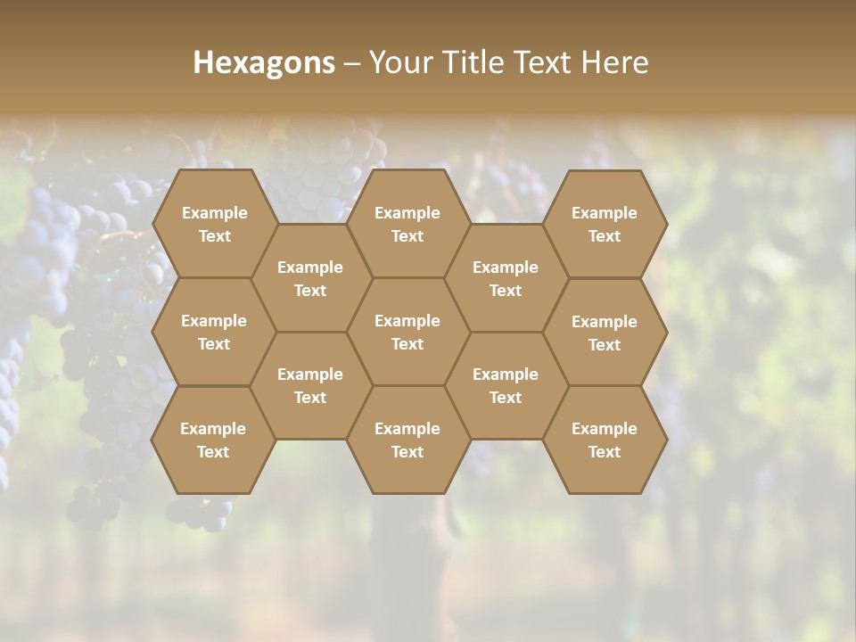 Merlot Grapes On Vine In Vineyard Hdr PowerPoint Template