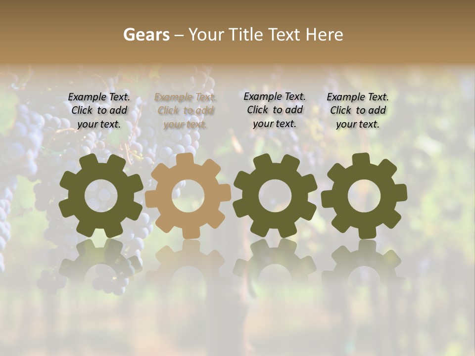 Merlot Grapes On Vine In Vineyard Hdr PowerPoint Template