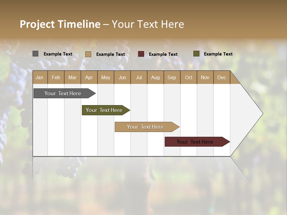 Merlot Grapes On Vine In Vineyard Hdr PowerPoint Template