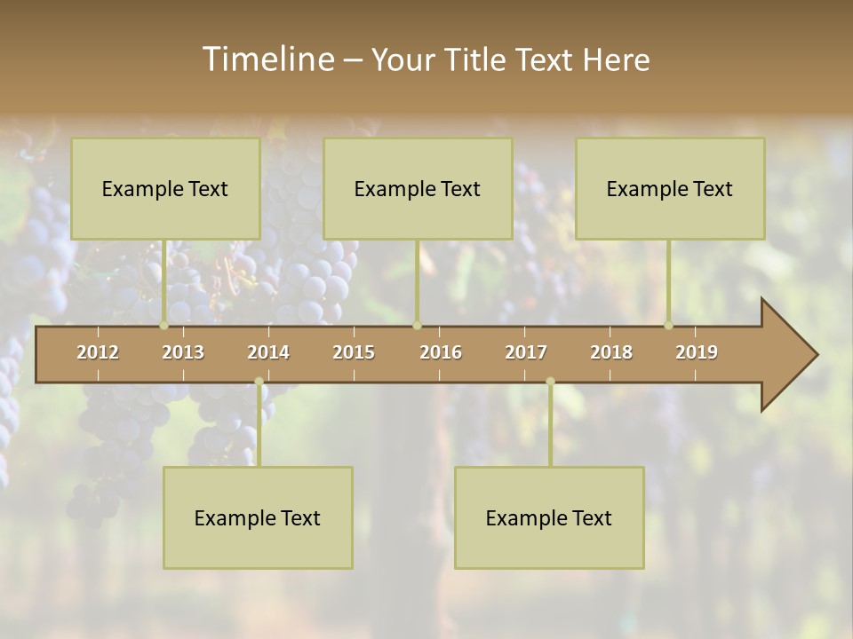 Merlot Grapes On Vine In Vineyard Hdr PowerPoint Template