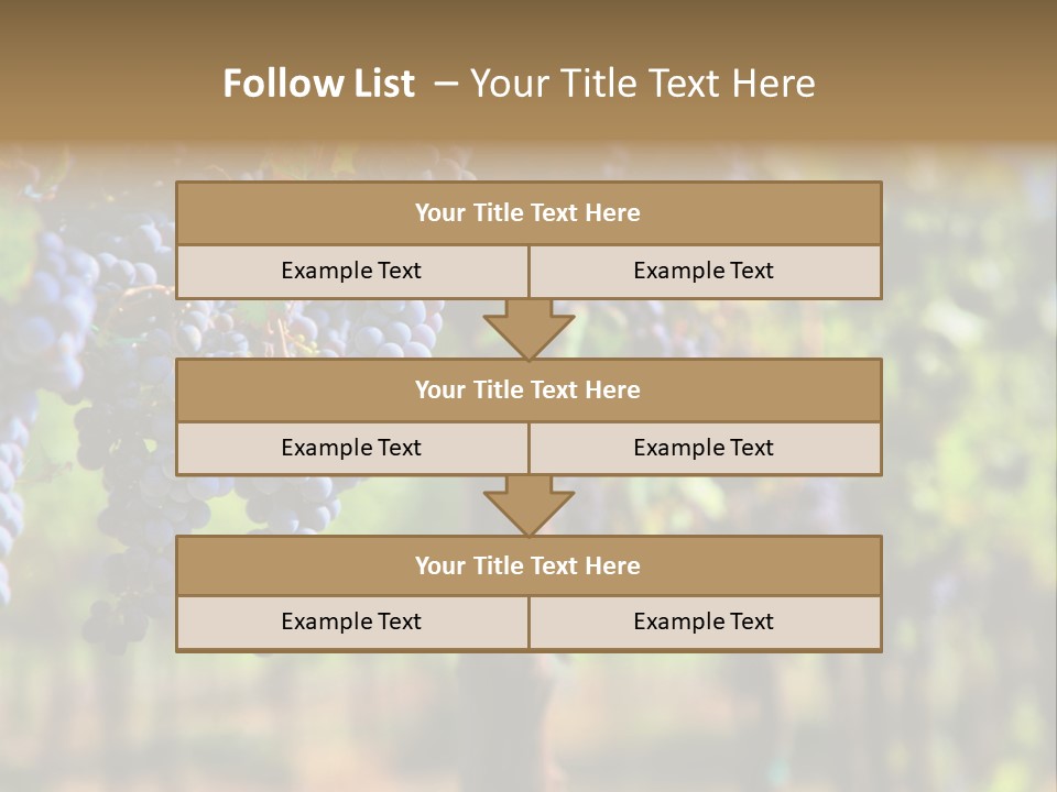 Merlot Grapes On Vine In Vineyard Hdr PowerPoint Template