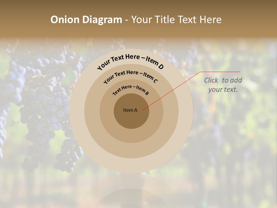 Merlot Grapes On Vine In Vineyard Hdr PowerPoint Template