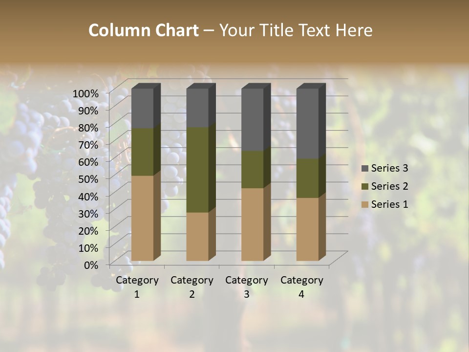 Merlot Grapes On Vine In Vineyard Hdr PowerPoint Template