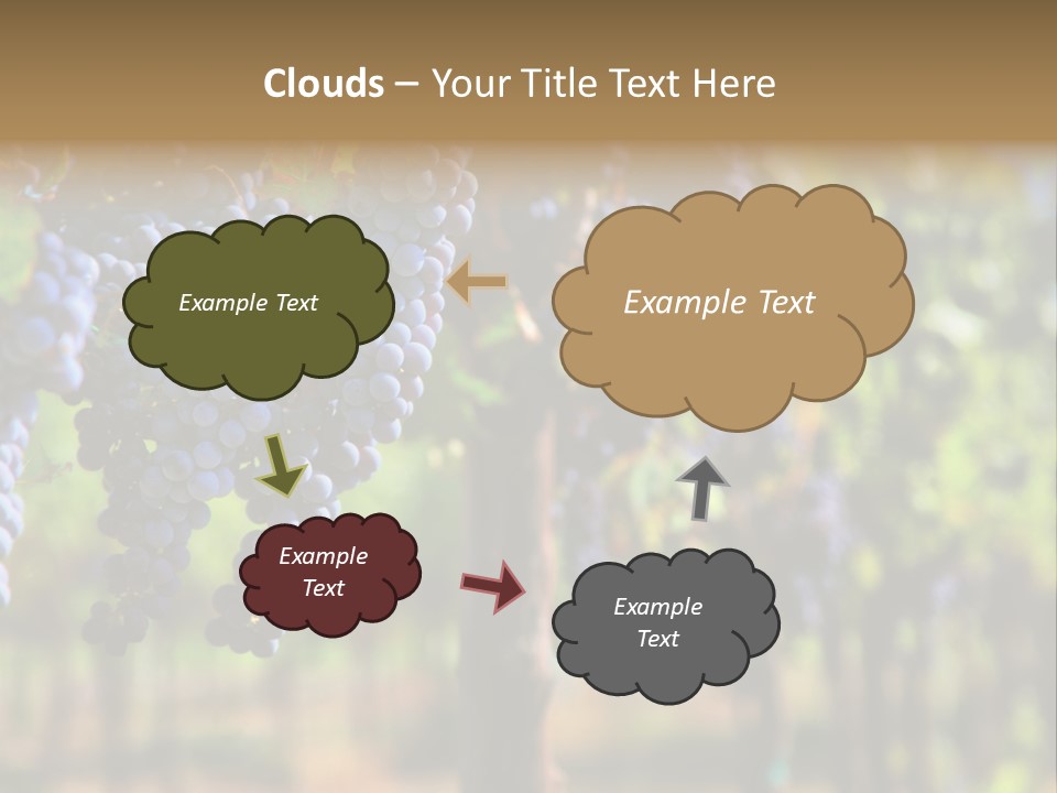 Merlot Grapes On Vine In Vineyard Hdr PowerPoint Template