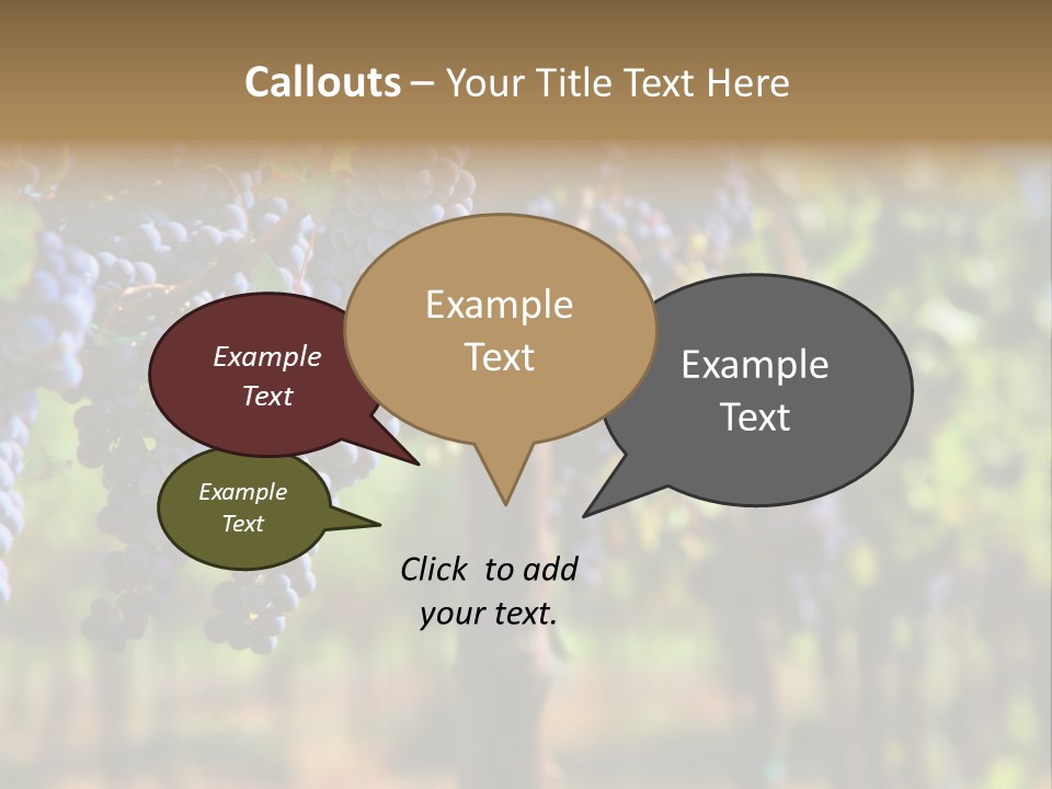 Merlot Grapes On Vine In Vineyard Hdr PowerPoint Template