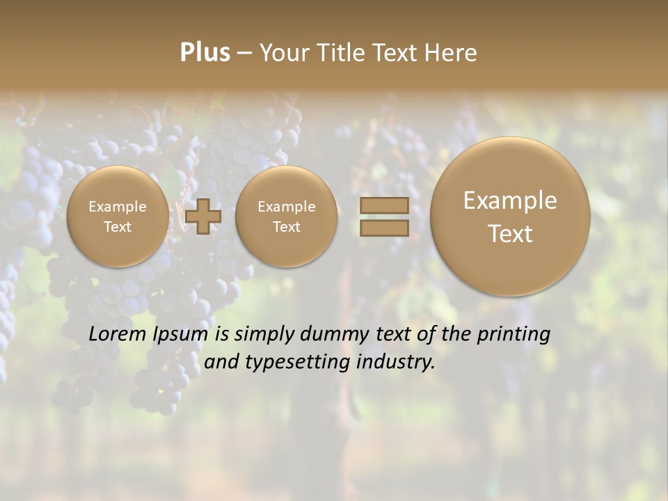 Merlot Grapes On Vine In Vineyard Hdr PowerPoint Template