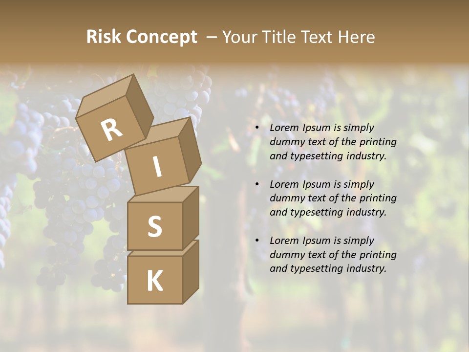 Merlot Grapes On Vine In Vineyard Hdr PowerPoint Template