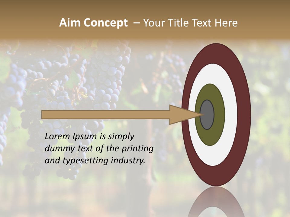 Merlot Grapes On Vine In Vineyard Hdr PowerPoint Template