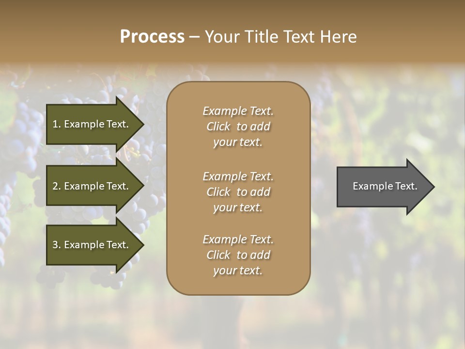 Merlot Grapes On Vine In Vineyard Hdr PowerPoint Template