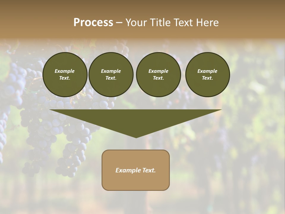 Merlot Grapes On Vine In Vineyard Hdr PowerPoint Template