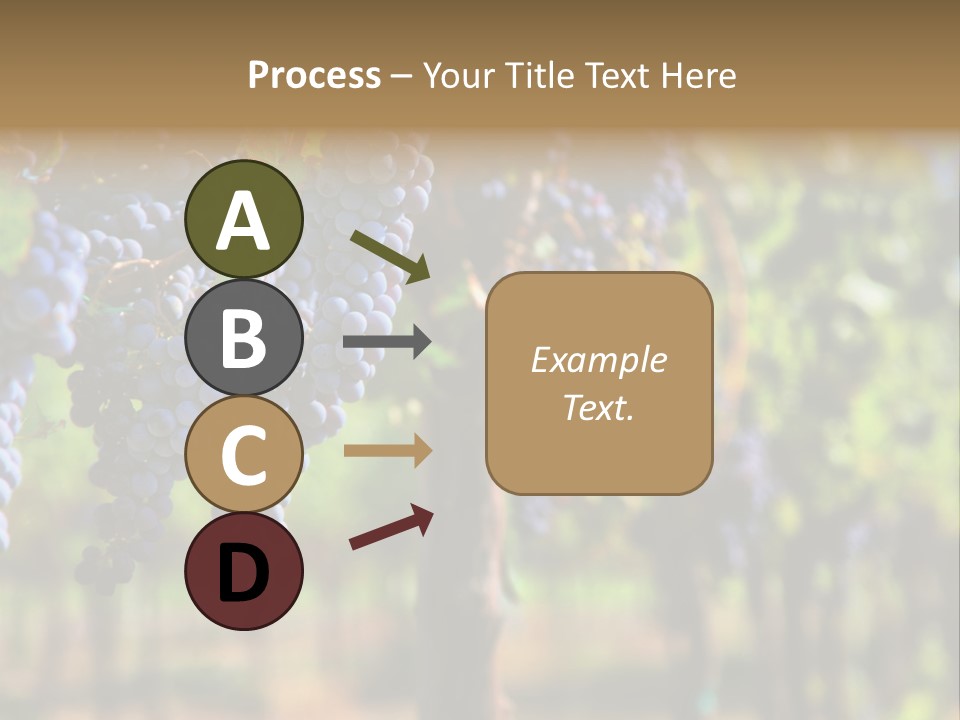 Merlot Grapes On Vine In Vineyard Hdr PowerPoint Template