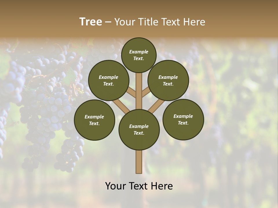 Merlot Grapes On Vine In Vineyard Hdr PowerPoint Template