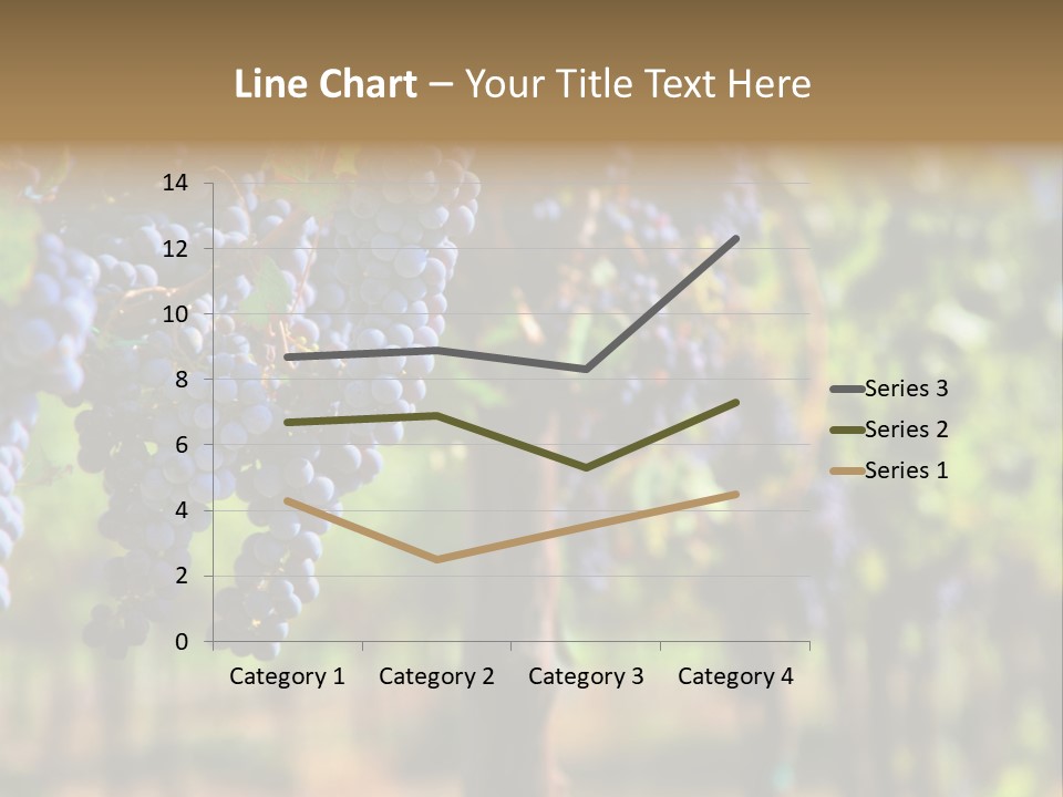 Merlot Grapes On Vine In Vineyard Hdr PowerPoint Template