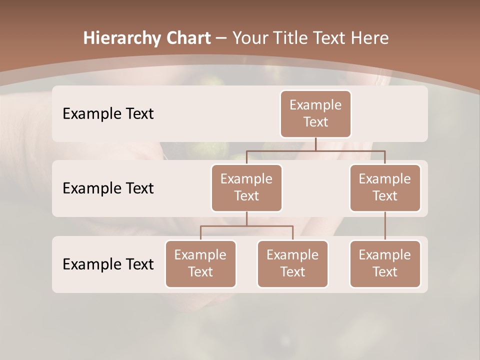 A Person Holding A Handful Of Olives In Their Hands PowerPoint Template