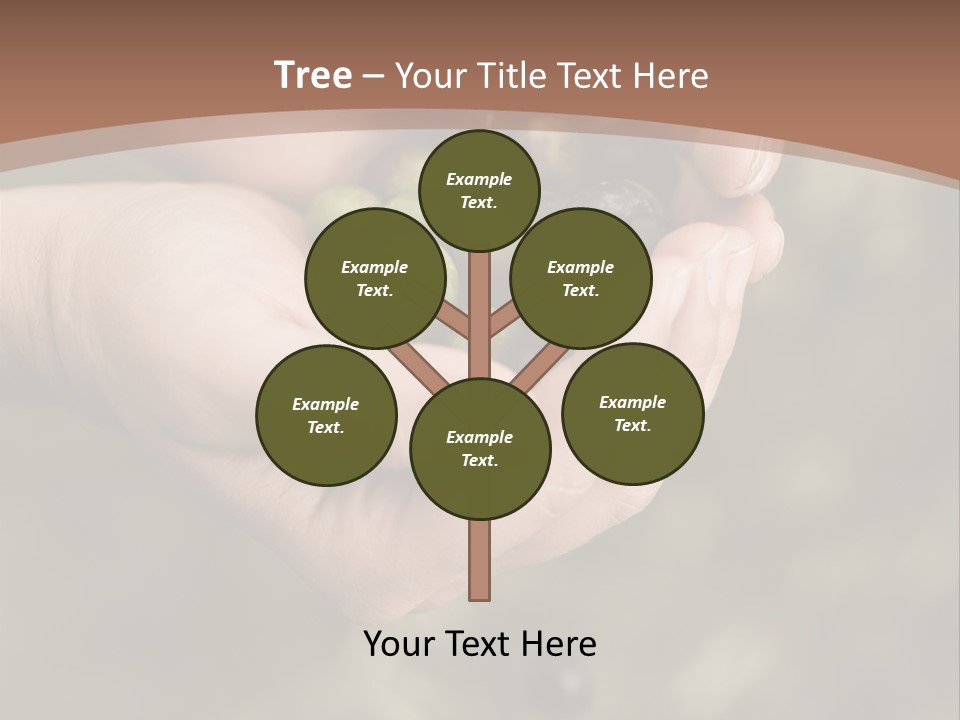 A Person Holding A Handful Of Olives In Their Hands PowerPoint Template