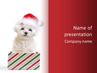 Dog In Santa Hat PowerPoint Template