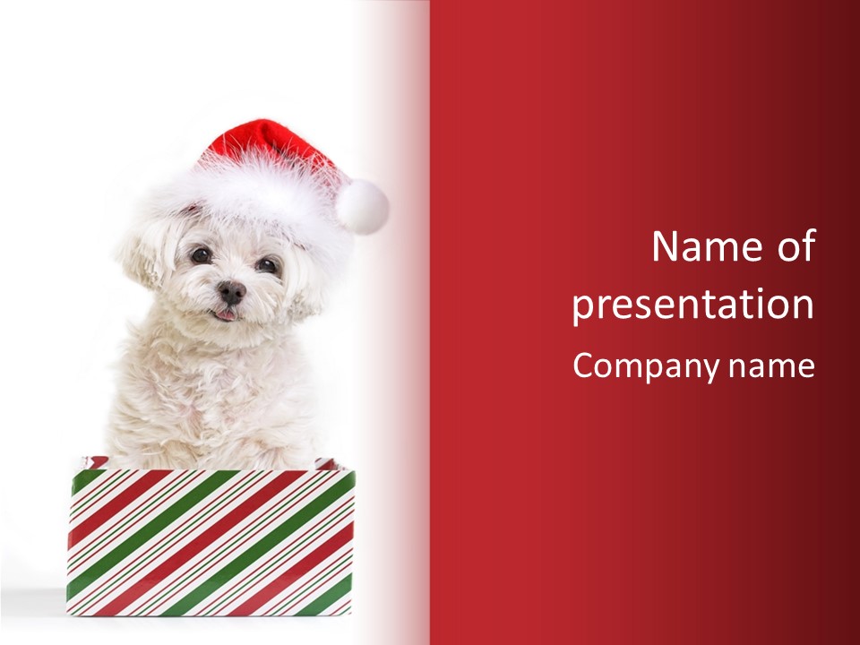 Dog In Santa Hat PowerPoint Template