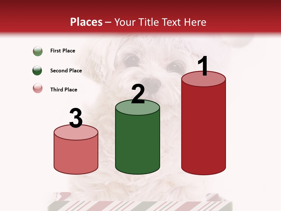 Dog In Santa Hat PowerPoint Template