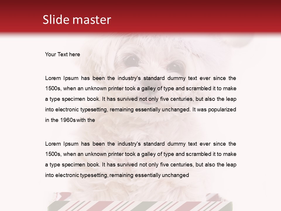 Dog In Santa Hat PowerPoint Template