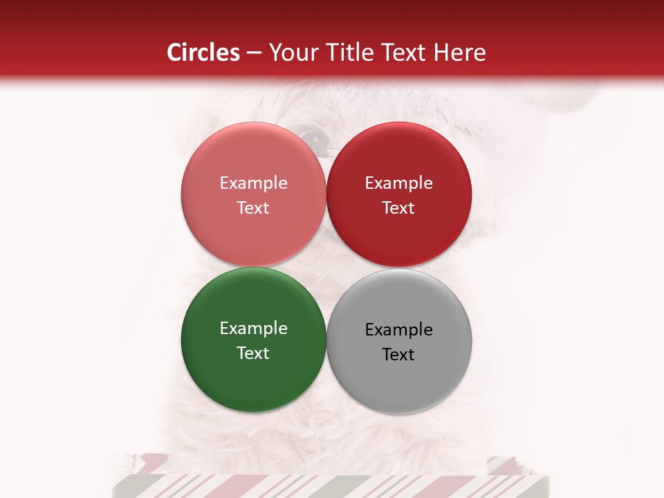 Dog In Santa Hat PowerPoint Template