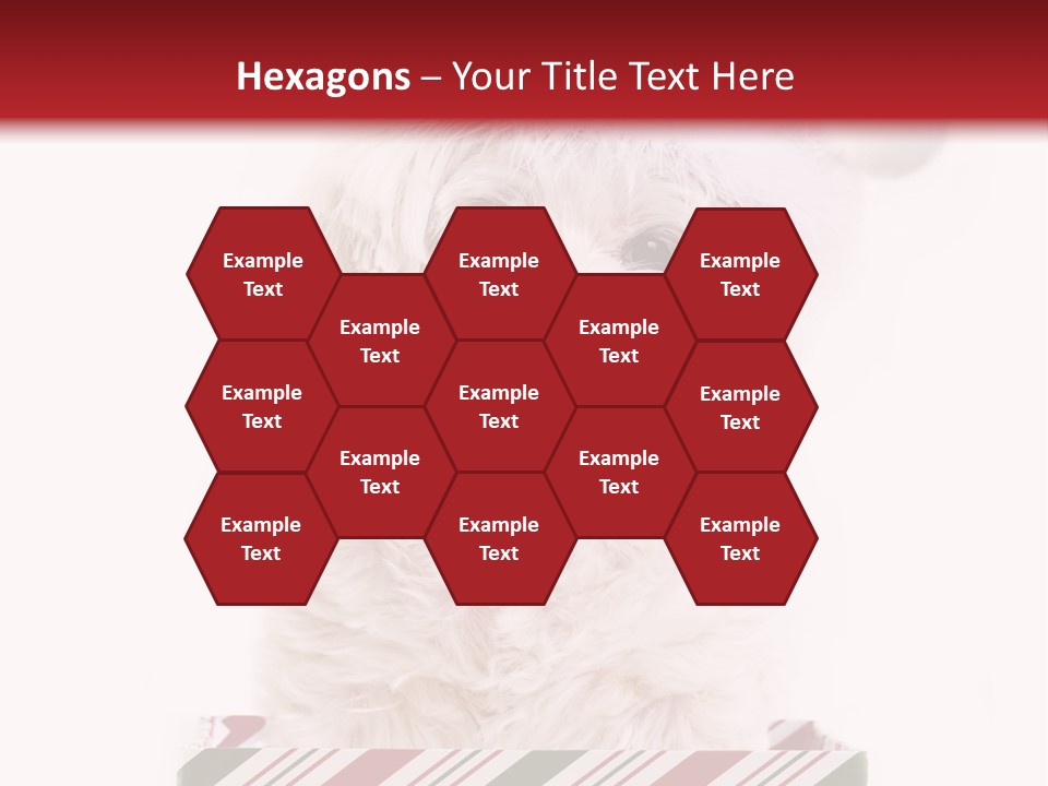 Dog In Santa Hat PowerPoint Template