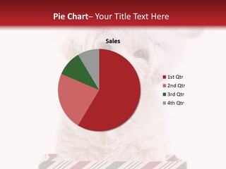 Dog In Santa Hat PowerPoint Template