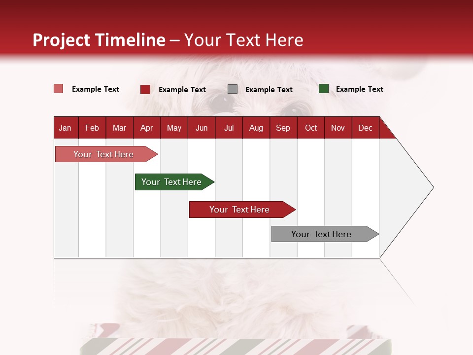 Dog In Santa Hat PowerPoint Template