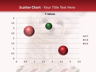 Dog In Santa Hat PowerPoint Template