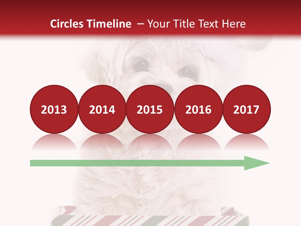 Dog In Santa Hat PowerPoint Template